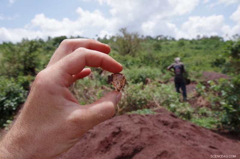 Advanced Neural Network Differentiates Middle and Late Stone Age Toolkits with Precision