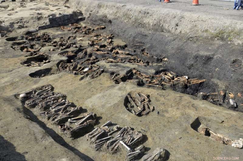 Archaeologists Uncover 1,500+ Human Remains in Osaka Mass Grave, Pointing to 19th-Century Epidemic