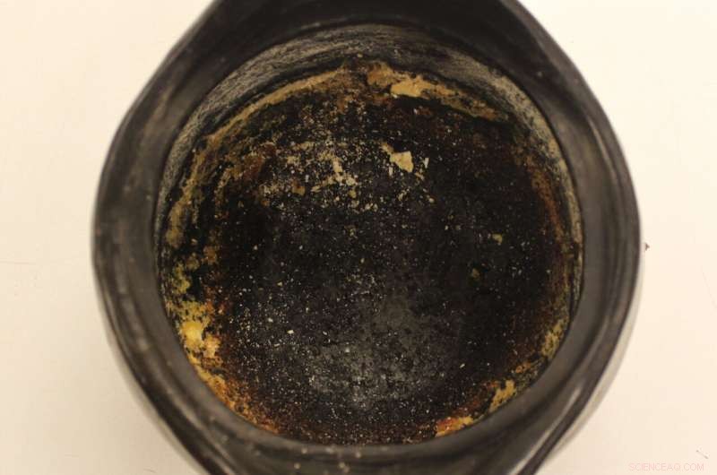 Uncovering Ancient Culinary Secrets: How Ceramic Pots Reveal Millennia of Food History