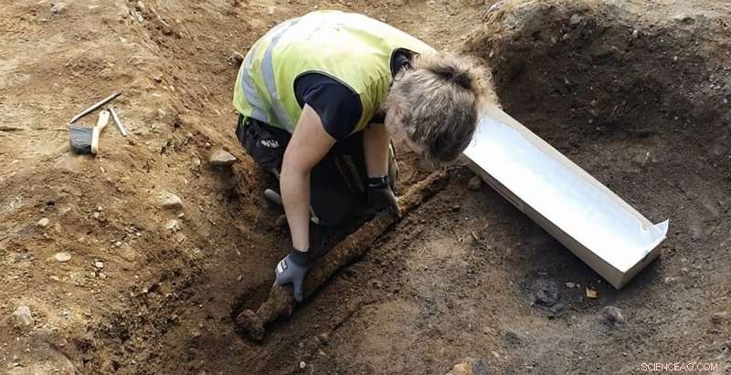 Archaeologists Uncover Ancient Viking Sword in Central Norway Grave