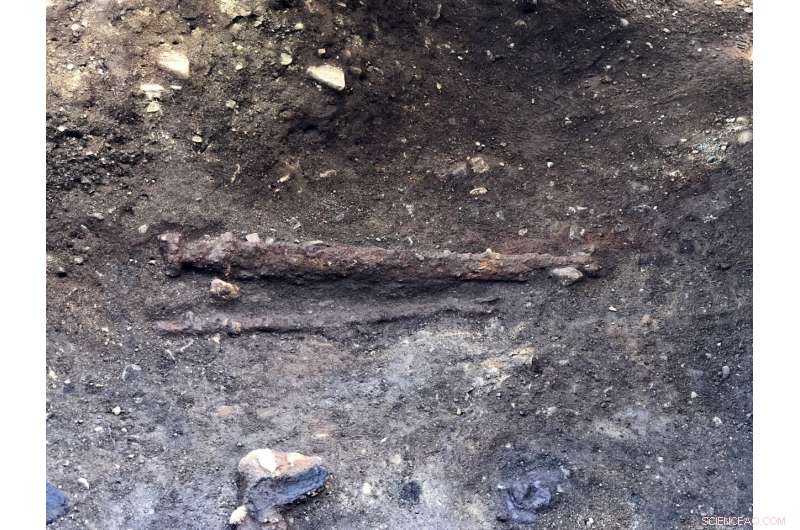 Archaeologists Uncover Ancient Viking Sword in Central Norway Grave