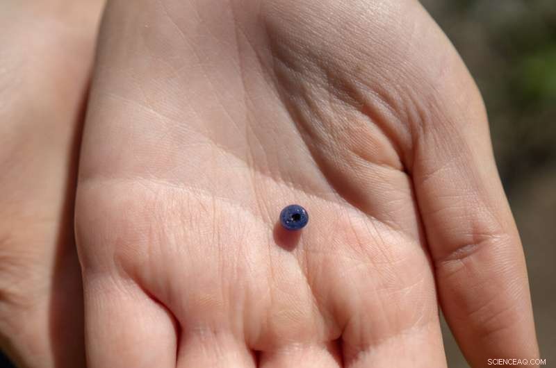 Archaeologists Uncover Ancient Viking Sword in Central Norway Grave