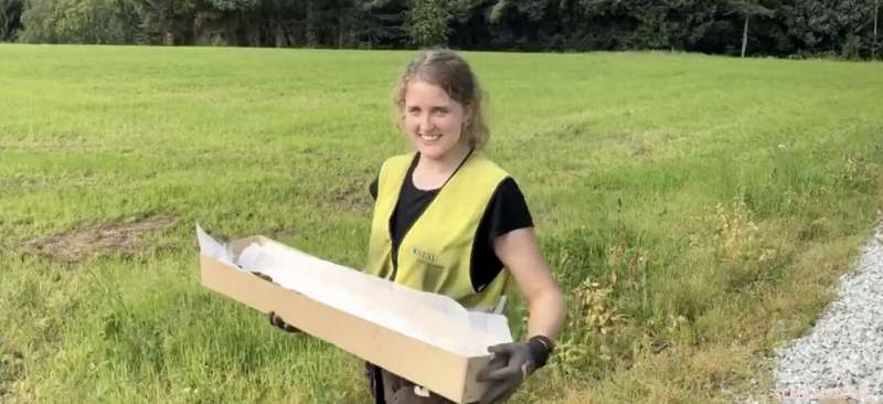Archaeologists Uncover Ancient Viking Sword in Central Norway Grave