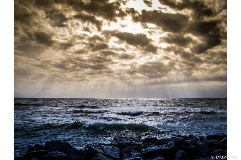 1495 Baltic Sea Wreck Yields Atlantic Sturgeon: Lund University Finds King Hans’s Historical Gift