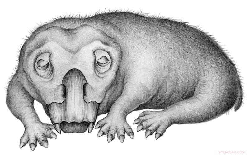 250-Million-Year-Old Antarctic Fossil Reveals Early Hibernation-like State