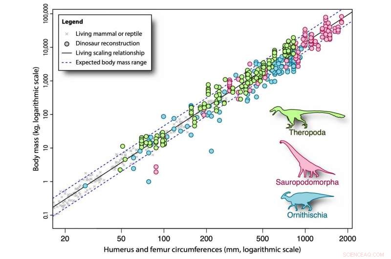 Estimating Dinosaur Mass: Modern Methods & New Findings