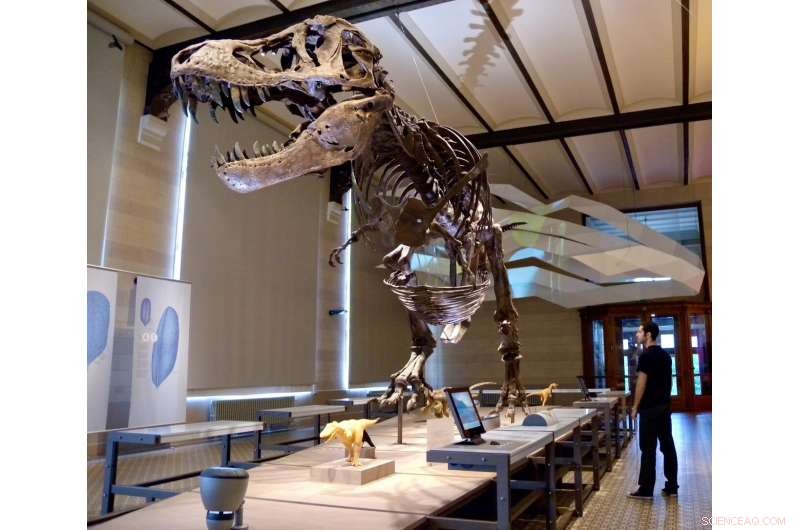 Estimating Dinosaur Mass: Modern Methods & New Findings