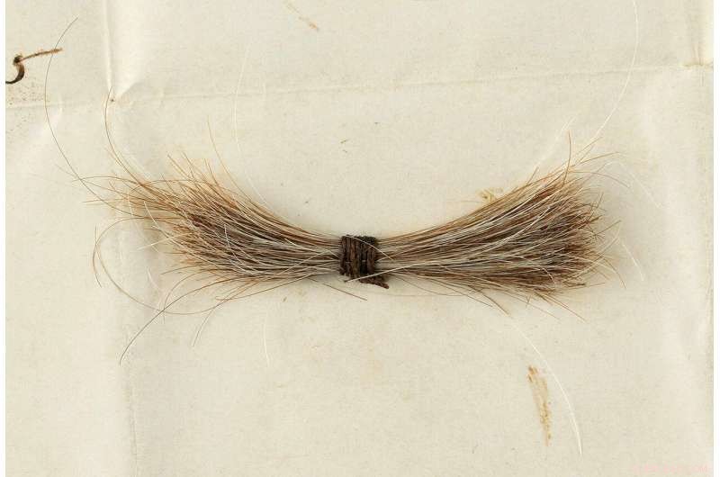 Historic Lincoln Hair Sample and Blood‑Stained Telegram to be Auctioned
