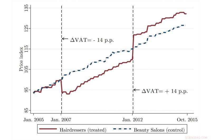 VAT Cuts Fail to Boost Consumer Purchasing Power: Evidence from the Hairdressing Industry