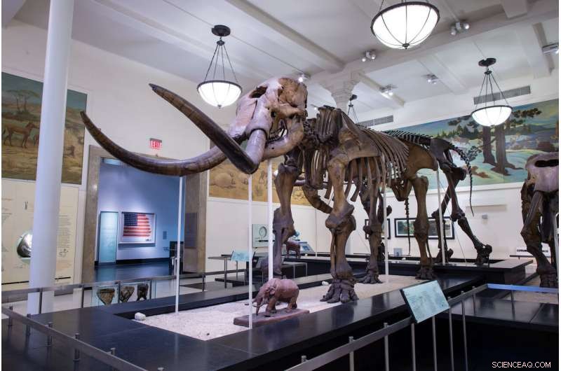 Mastodons Migrated Northward in Response to Climate Change, New Study Reveals