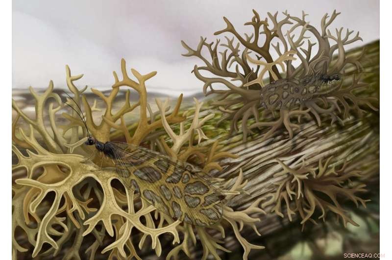 New Fossil Finds Earliest Evidence of Lichen-Mimicking Insect in Jurassic Period