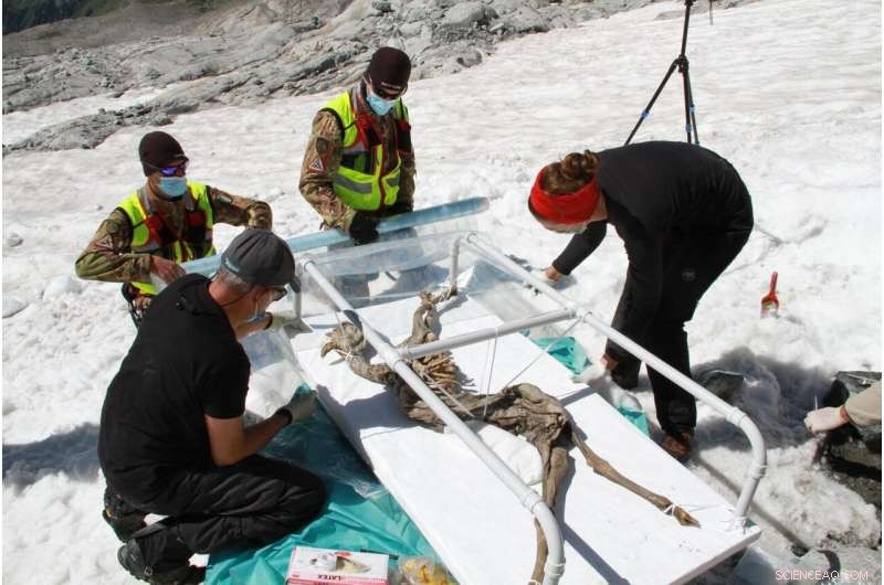 400-Year-Old Chamois in Val Aurina Paves the Way for Ice Mummy Research