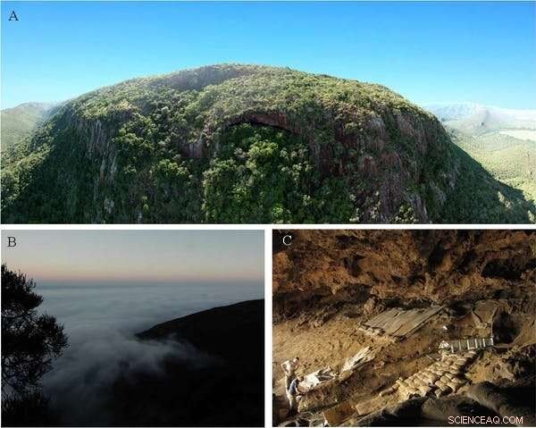 Ancient Grass Bedding: Discovering 200,000‑Year‑Old Fossil Beds in South Africa