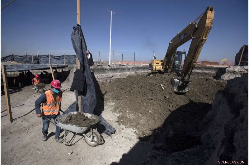 Ancient Mammoth Skeleton Unearthed During Mexico City Airport Construction