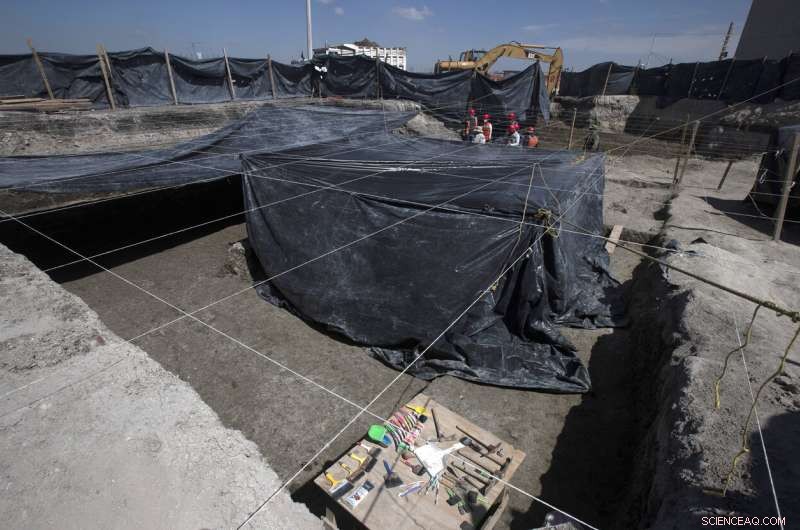 Ancient Mammoth Skeleton Unearthed During Mexico City Airport Construction