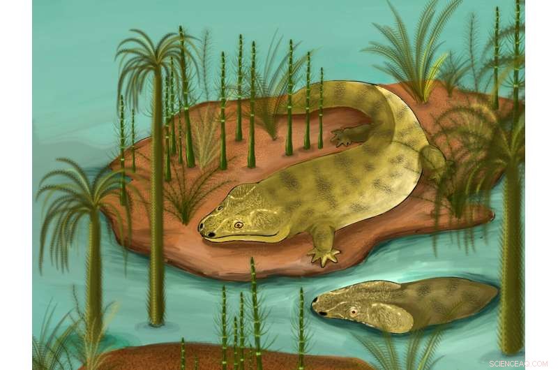 Triassic Fossil Growth Unlocks Climate Secrets of 225 Million Years Ago