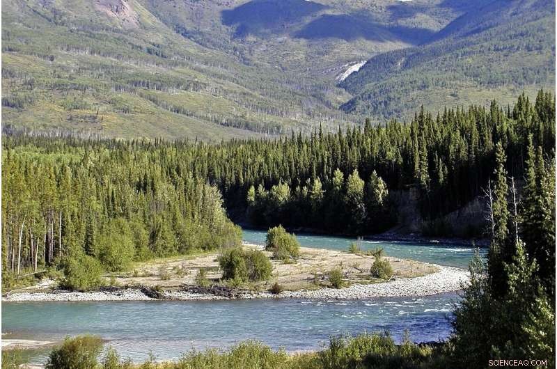 The Wild West Legacy: Pioneer Spirit Still Shapes Mountain Communities Today