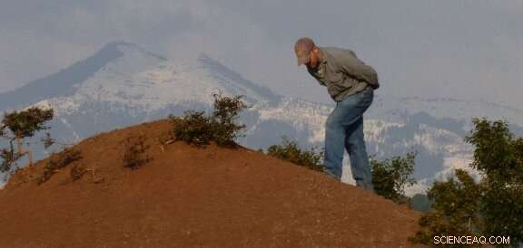 Groundbreaking 13‑Million‑Year‑Old Ape Fossil Unearthed in India