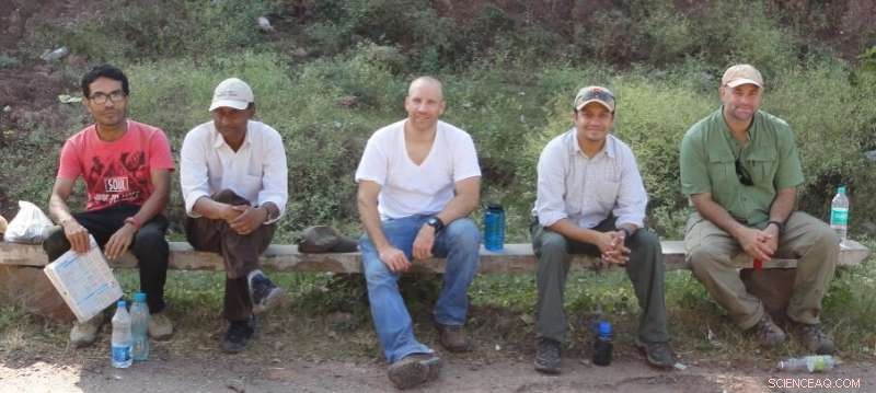 Groundbreaking 13‑Million‑Year‑Old Ape Fossil Unearthed in India