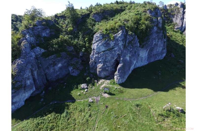 Unveiling the Oldest Neanderthal DNA from Central‑Eastern Europe