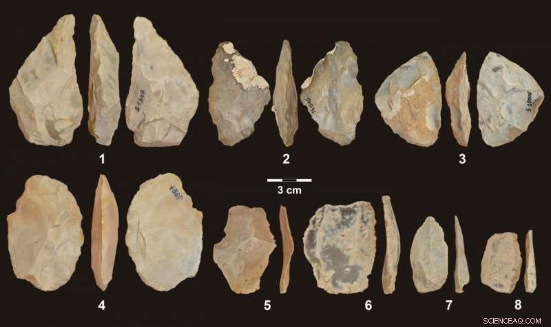 Unveiling the Oldest Neanderthal DNA from Central‑Eastern Europe