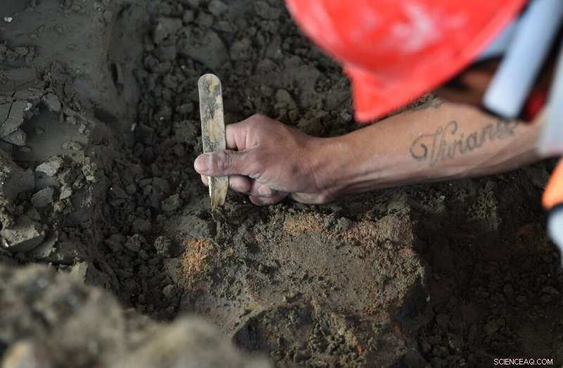 Mammoth Graveyard Uncovered at Mexico City s New Airport Site