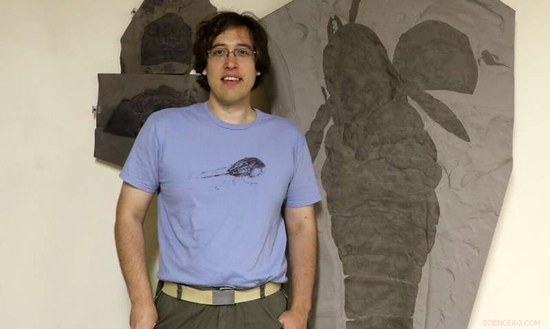 New Study Reveals 340‑Million‑Year‑Old Sea Scorpion Could Breathe Air