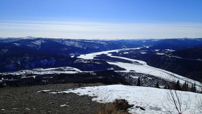 New DNA Extraction Method Unveils a Richer View of Prehistoric Life