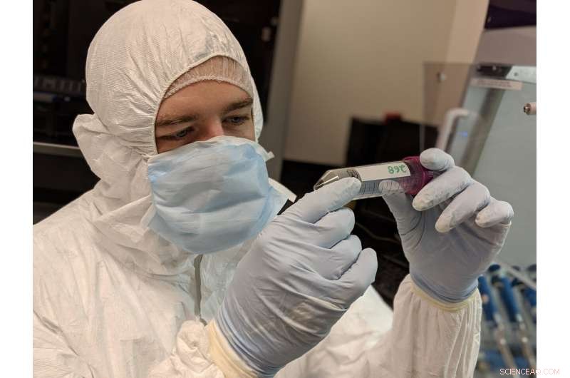 New DNA Extraction Method Unveils a Richer View of Prehistoric Life