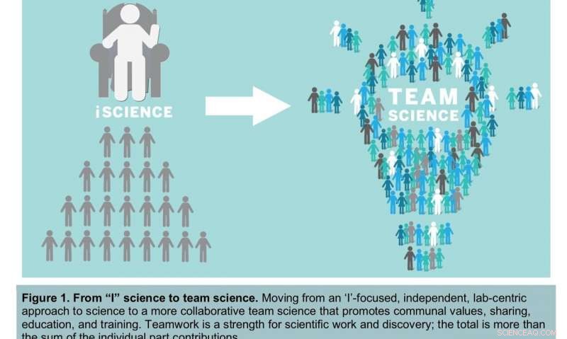 Tracing Two Cultures in Science: From Individual to Collaborative Research