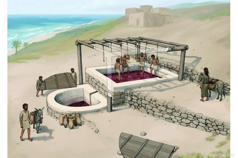 Iron Age Wine Press Sheds Light on Phoenician Construction Methods