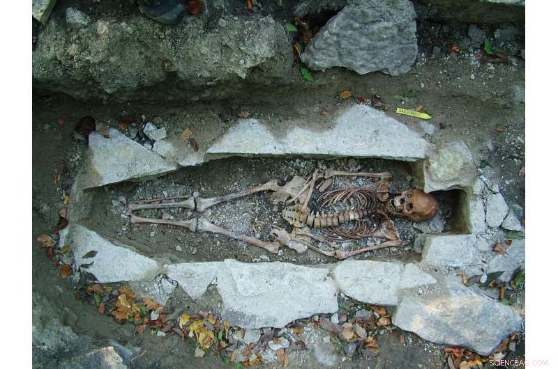 New DNA Study of 400 Viking Skeletons Shows Diverse Scandinavian Origins