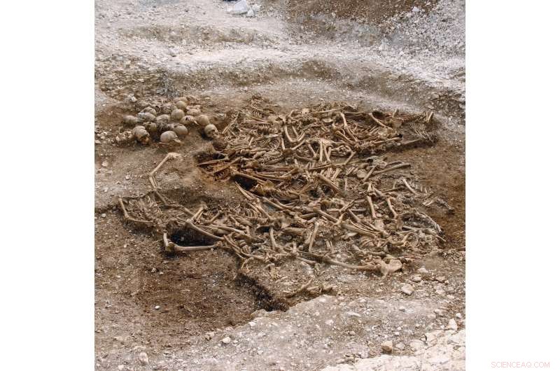 New DNA Study of 400 Viking Skeletons Shows Diverse Scandinavian Origins