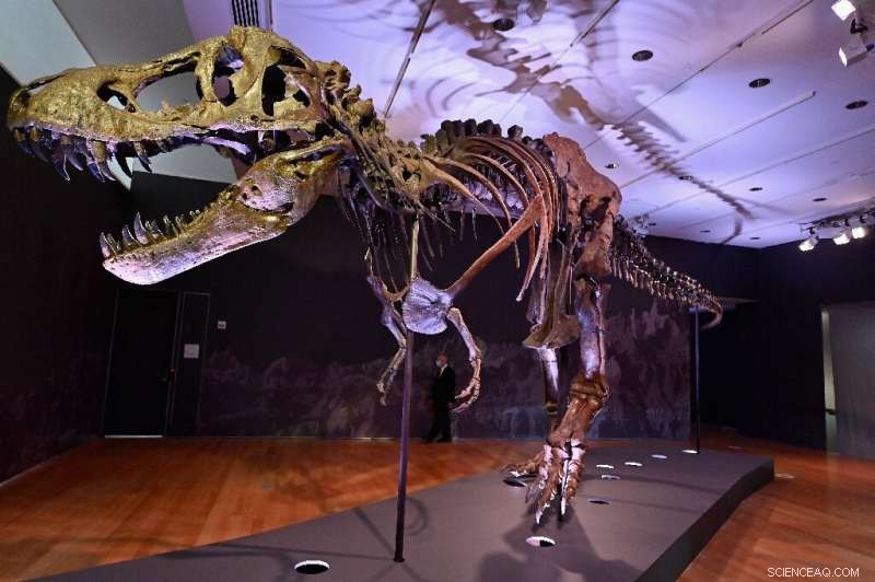 Stan, the 40‑foot T‑Rex Skeleton, Set for NYC Auction – Potential Record Breaker