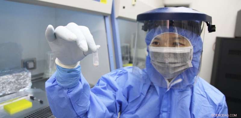 Ancient DNA Illuminates Genetic Foundations of East Asia’s Earliest Settlers