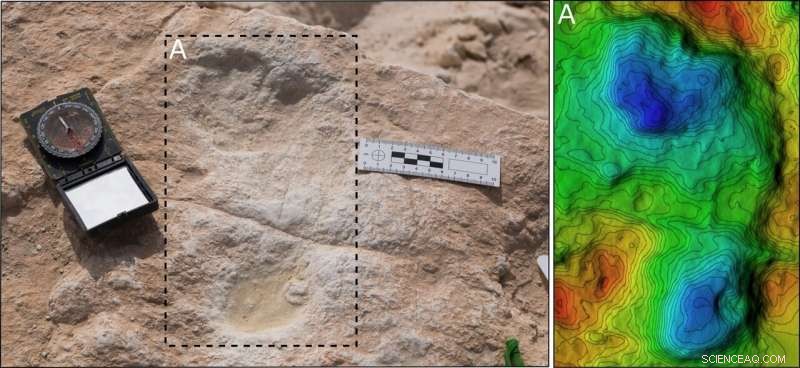120,000‑Year‑Old Human Footprints Discovered in Saudi Arabia: A Window into Early Homo sapiens