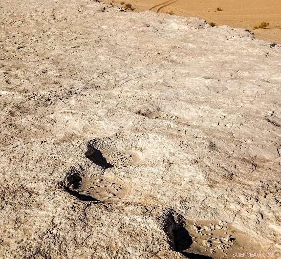 120,000‑Year‑Old Human Footprints Discovered in Saudi Arabia: A Window into Early Homo sapiens