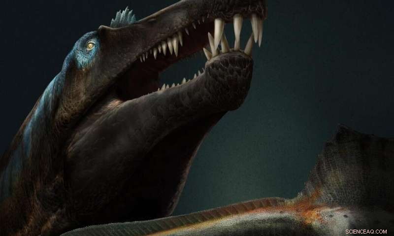 New Tooth Analysis Confirms Spinosaurus Was a Massive Aquatic Predator