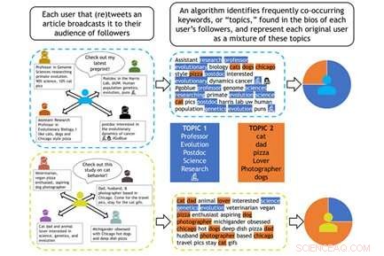 Who’s Tweeting About Science? Insights into Scientific Communication on Twitter