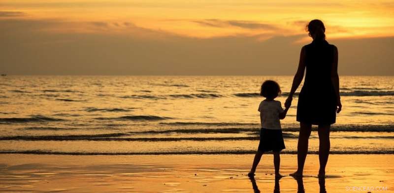 Locked in by COVID: The Plight of Temporary Visa Holders and the Call for Urgent Policy Change