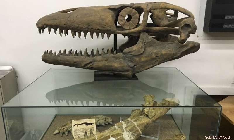 New Giant Prehistoric Marine Lizard Genus Revealed by Paleontologist