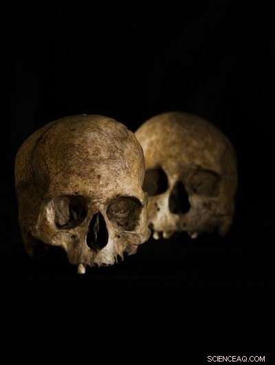 New Insights into Neolithic Iberian Funerary Practices Uncovered at Cueva de la Dehesilla