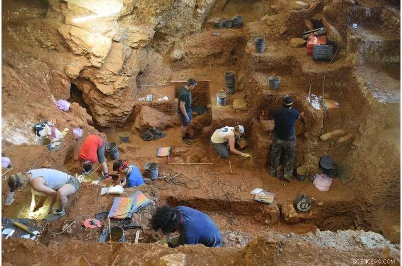 New Evidence Shows Modern Humans Arrived in Western Europe 5,000 Years Earlier Than Thought