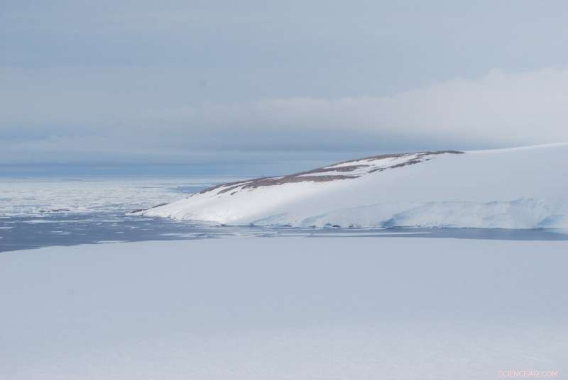 Snowmelt Reveals Ancient Adelie Penguin Colony at Cape Irizar, Ross Sea, Antarctica