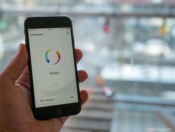 The Complex Path to a Cashless Society: Lessons from Sweden and Zimbabwe