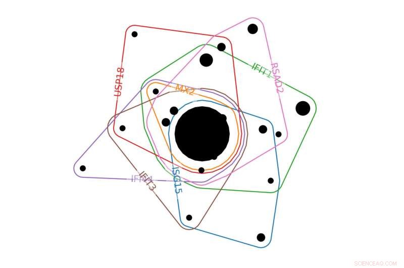Advanced Mathematics Decodes COVID‑19 Complexity