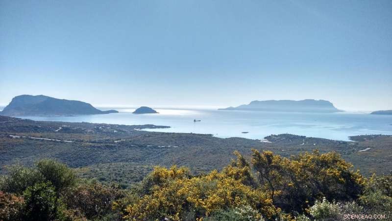 3000-Year-Old Trading Network Revealed: Ceramics Discovered on Sardinia s Tavolara Island