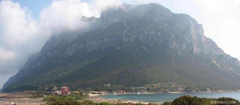 3000-Year-Old Trading Network Revealed: Ceramics Discovered on Sardinia s Tavolara Island