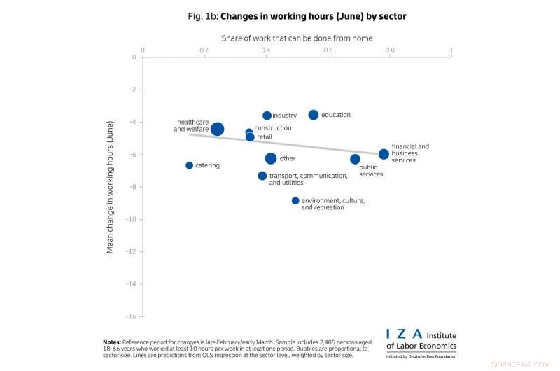 From Pandemic Shock to Recession: How COVID-19 Reshaped Work Hours