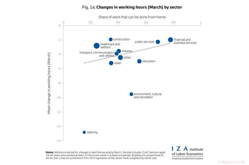 From Pandemic Shock to Recession: How COVID-19 Reshaped Work Hours